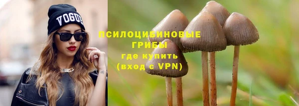 мяу мяу мука Абдулино