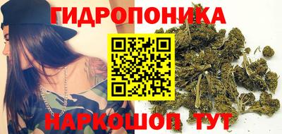 тгк Долгопрудный
