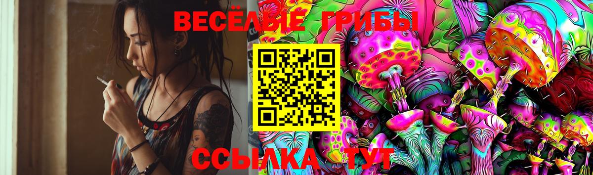 Одинцово  Галлюциногенные грибы Psilocybe  Вход с VPN  Галлюциногенные грибы Psilocybine cubensis 