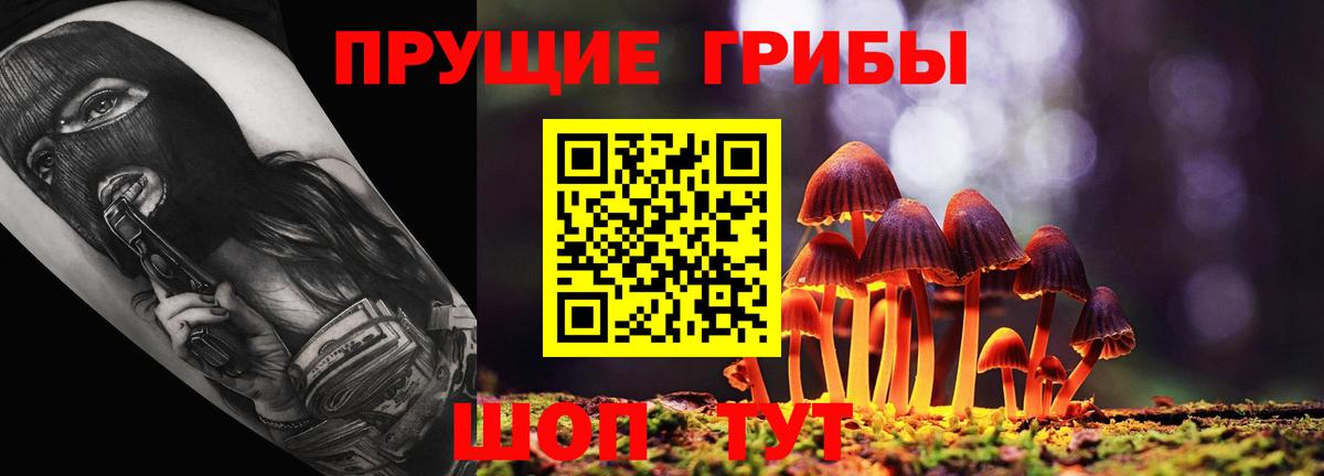 Псилоцибиновые грибы GOLDEN TEACHER Одинцово
